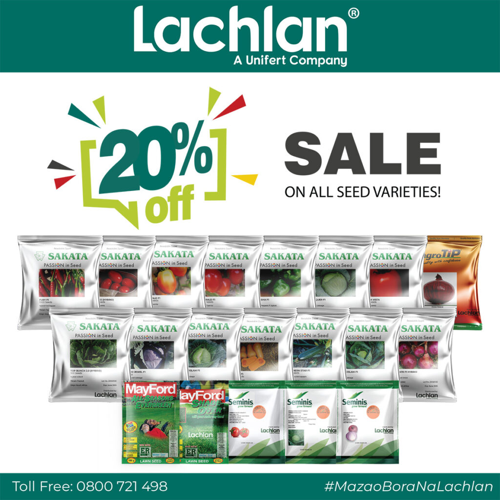 Seeds Sale Web