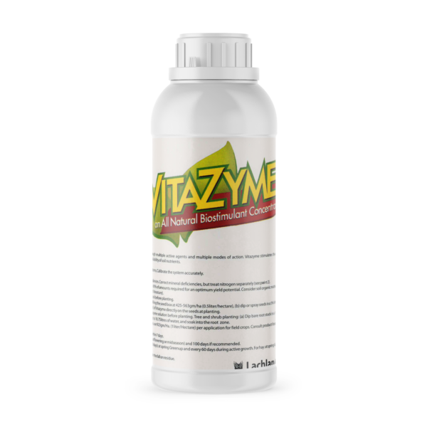 Vitazyme Lachlan