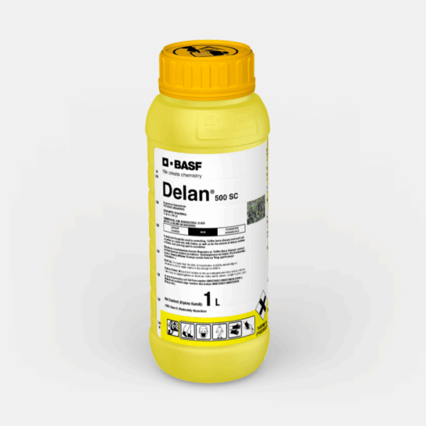 Delan-500-SC_58056665_KE_720x720