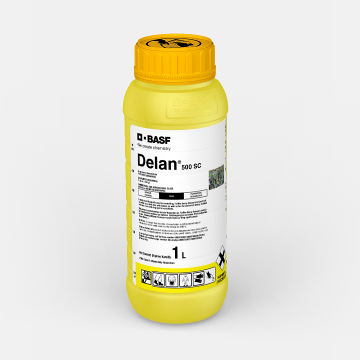 Delan-500-SC_58056665_KE_720x720