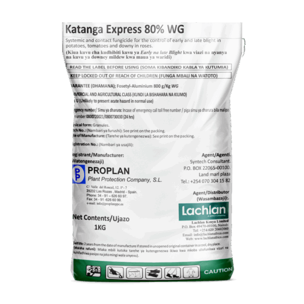 Katanga Express